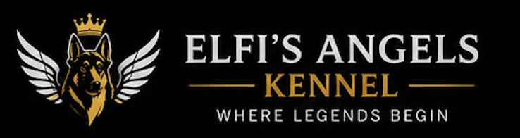 Elfi's Angels Logo - Poodle and German Shepherd Breeder