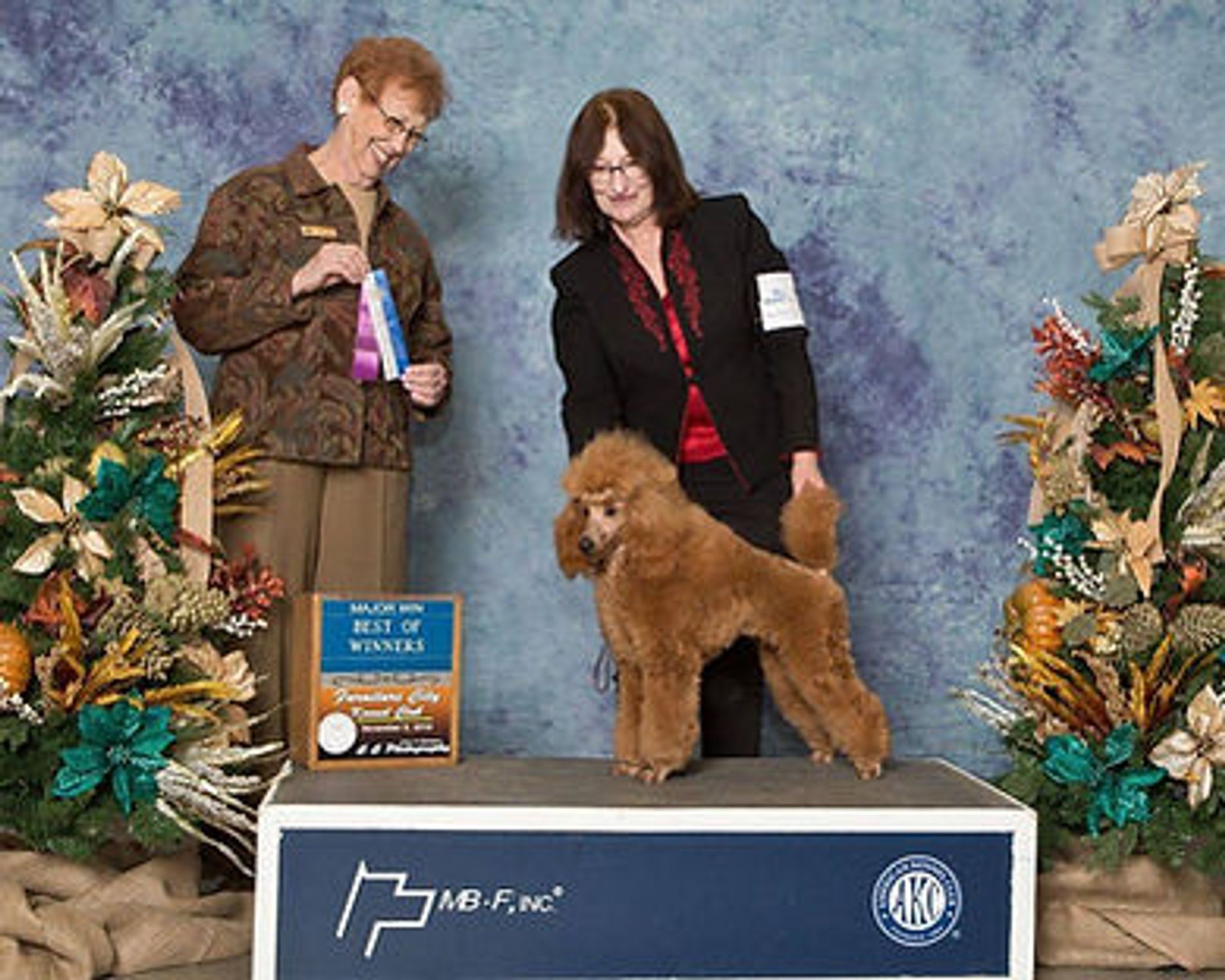 AKC championship photo of Anakin Skywalker's father