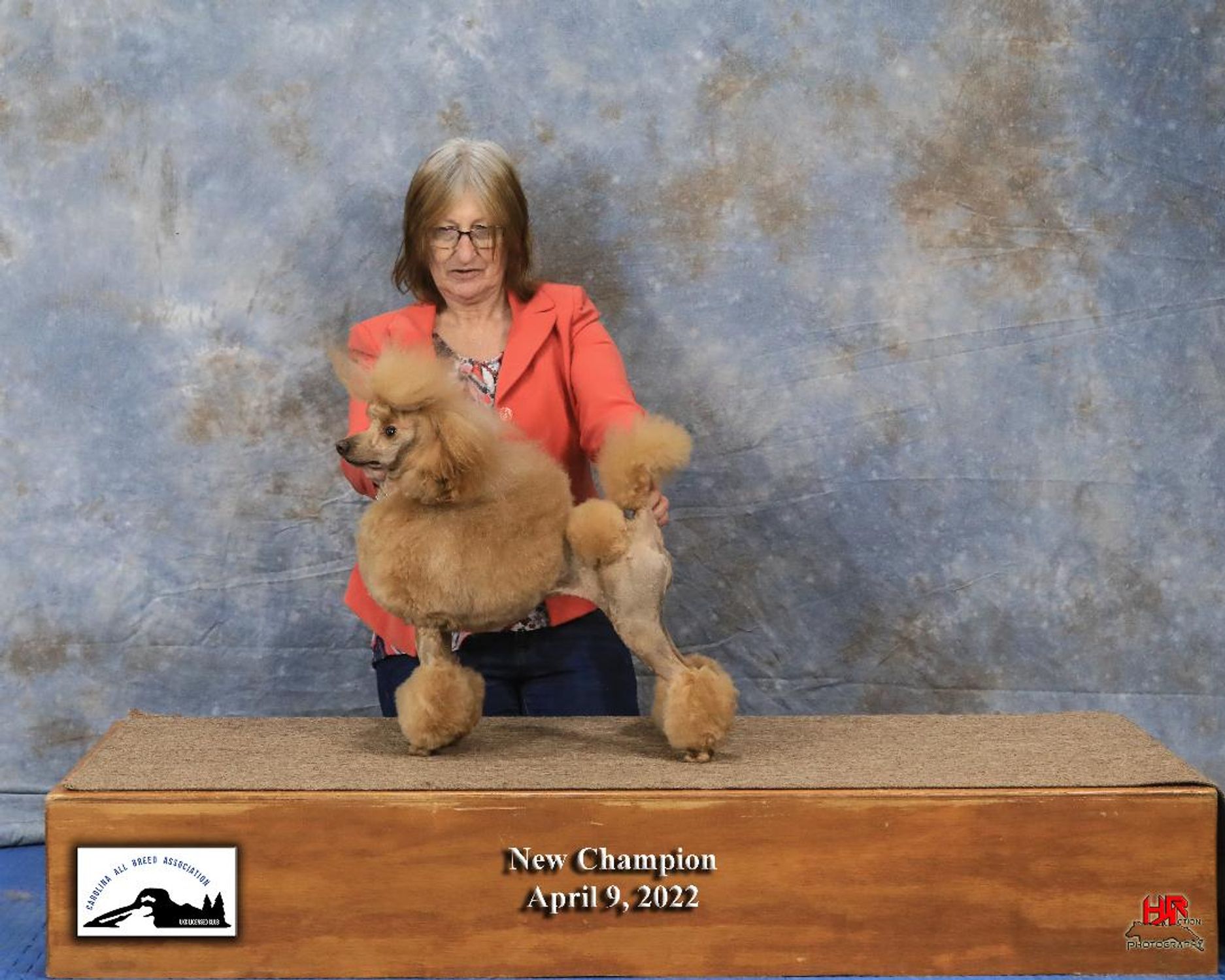 AKC winning lineup photo of Anakin Skywalker's father