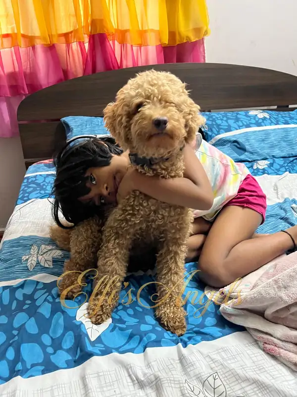 A child cuddling Iniyan on the bed