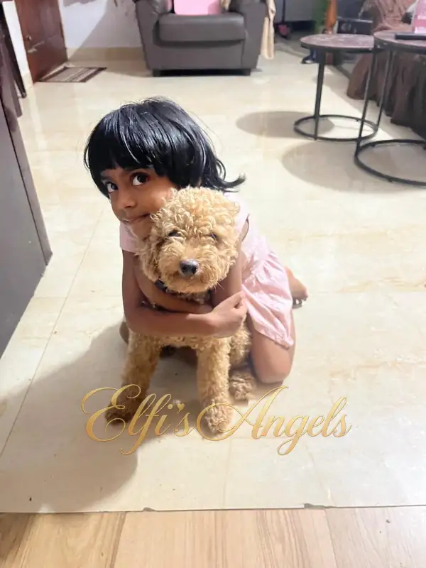 A child hugging Iniyan as he faces the camera at home