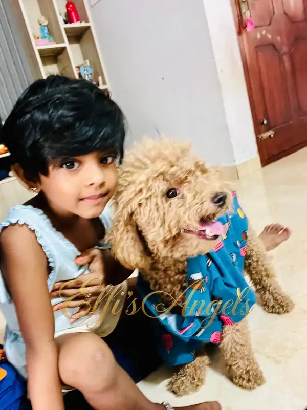 Iniyan in his colourful outfit with a child at home