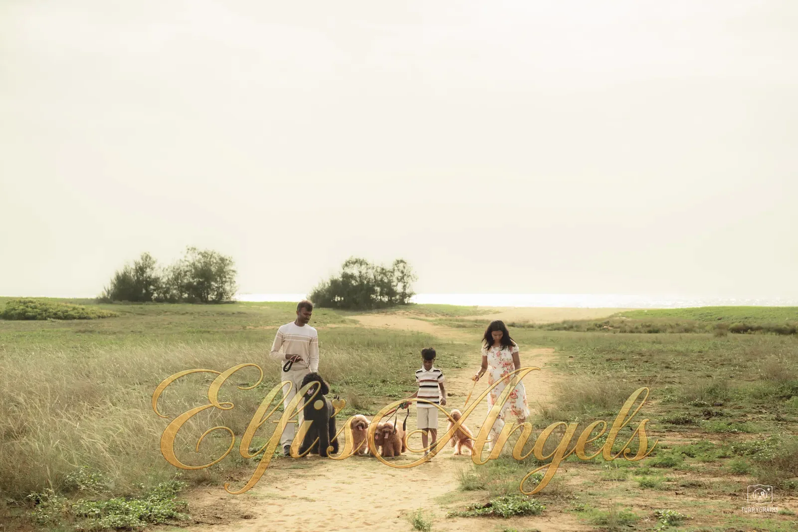 Our family walking with our Poodles in Chennai